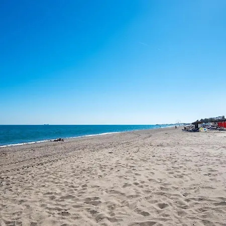 Aloha Torres Carihuela *