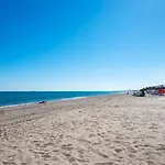 Aloha Torres Carihuela *