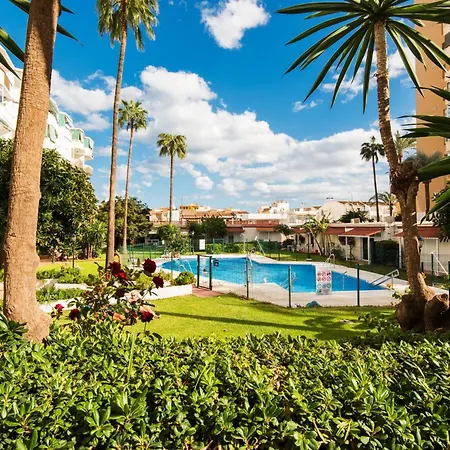 Aloha Torres Carihuela *