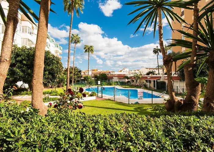 Aloha Torres Carihuela *