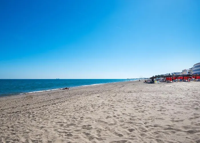 Aloha Torres Carihuela *